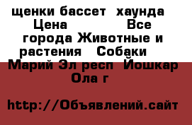 щенки бассет- хаунда › Цена ­ 20 000 - Все города Животные и растения » Собаки   . Марий Эл респ.,Йошкар-Ола г.